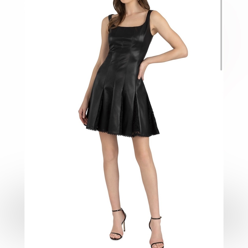 🌟New🌟Fit & Flare Mini Dress - Picture 2 of 12
